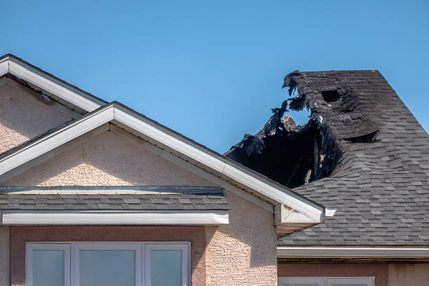 Top rated local Fire Damage Removal specialists in Watertown, MN